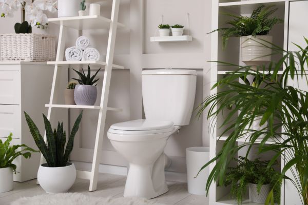 Cost of Toilet Repair in Sun City Center