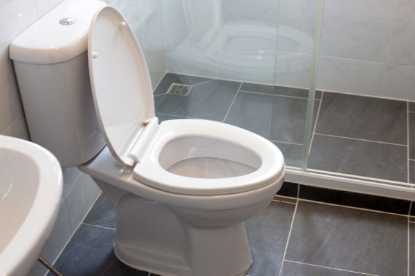 Cost of Toilet Replacement in Sun City Center